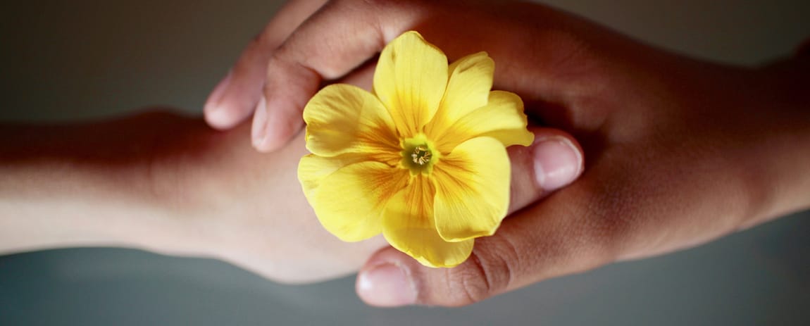 Due mani, una nell'altra con un fiore al centro