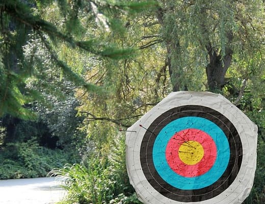 Sullo sfondo di un bosco, con degli alberi un po' incolti, c'è in primo piano un tiro al bersaglio