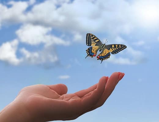 Una mano che lascia una farfalla tutta colorata volare verso un cielo sereno
